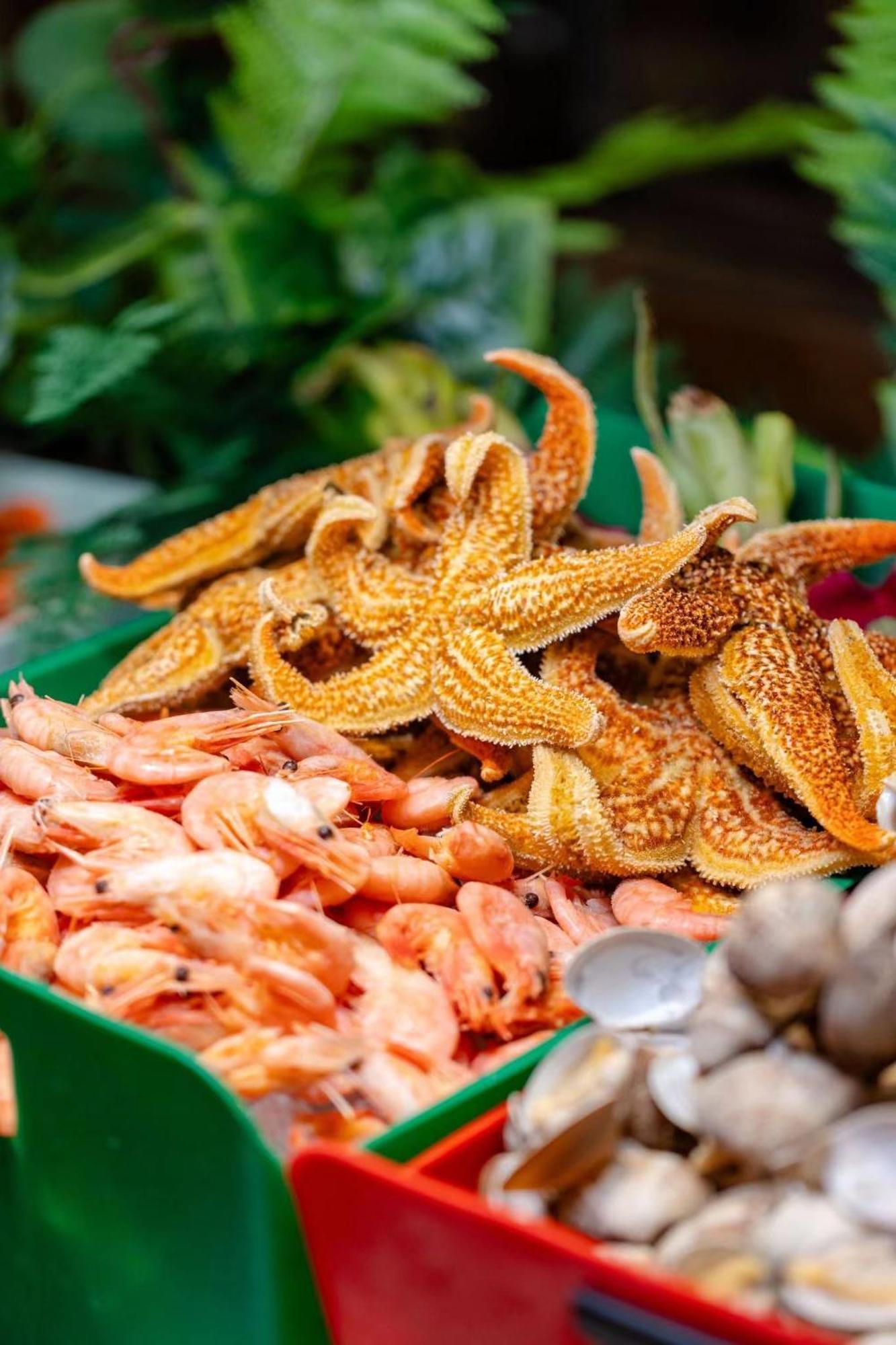 Shangri-La Thẩm Dương Ngoại thất bức ảnh